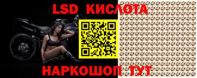 прущие крисы Кунгур