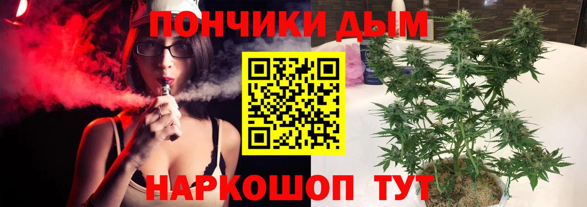 Шали  Канабис OG Kush  Бошки Шишки планчик  Шишки марихуана индика  Шишки марихуана ГИДРОПОН  Вход с VPN 